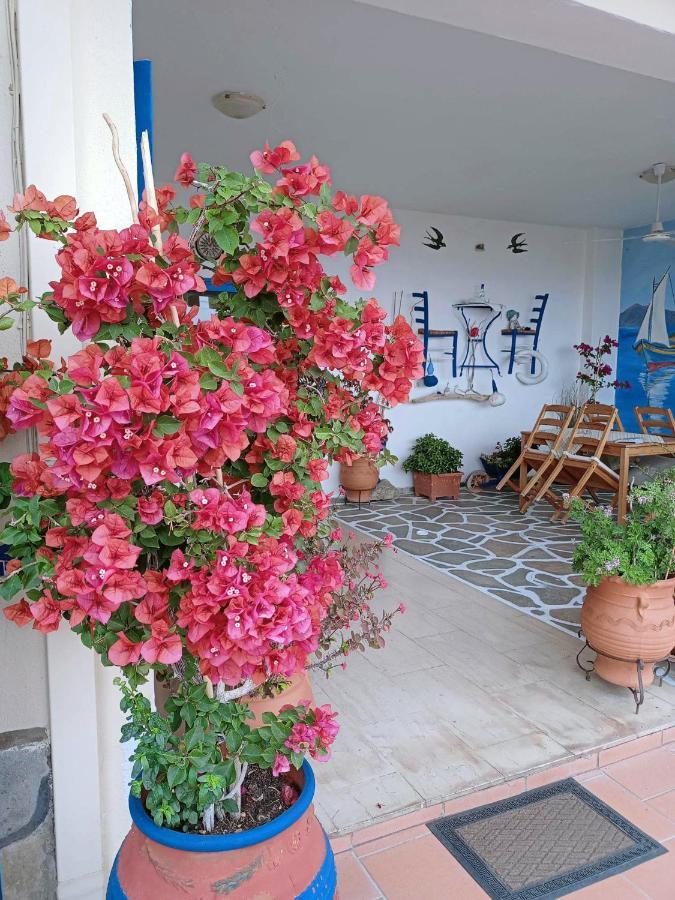 Apartamento Alexia House Neos Marmaras Exterior foto